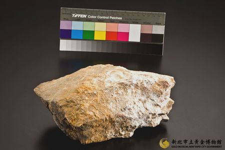 樹梅金礦矽化砂岩(黃)圖1 