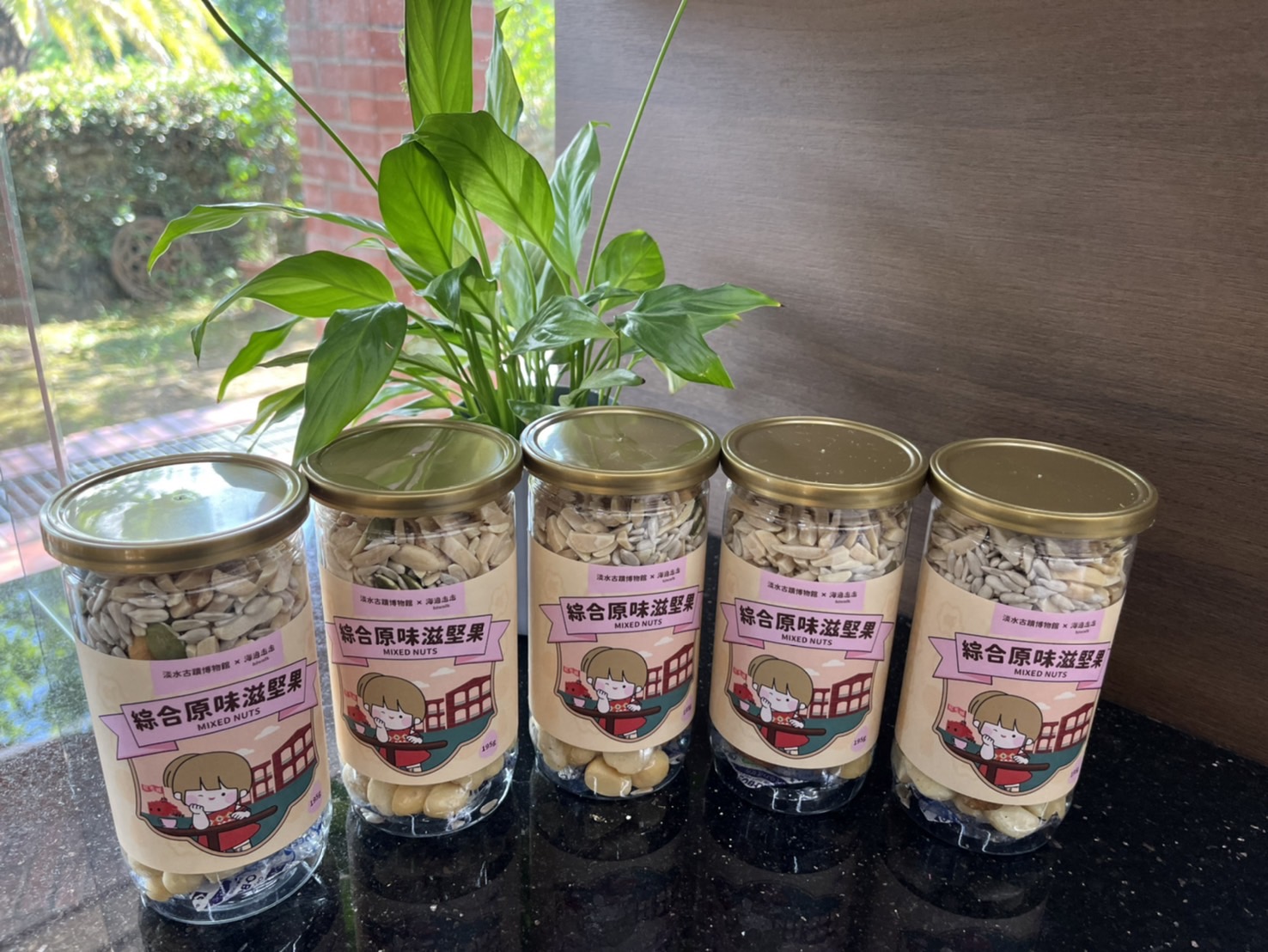 淡古聯盟海拿滋