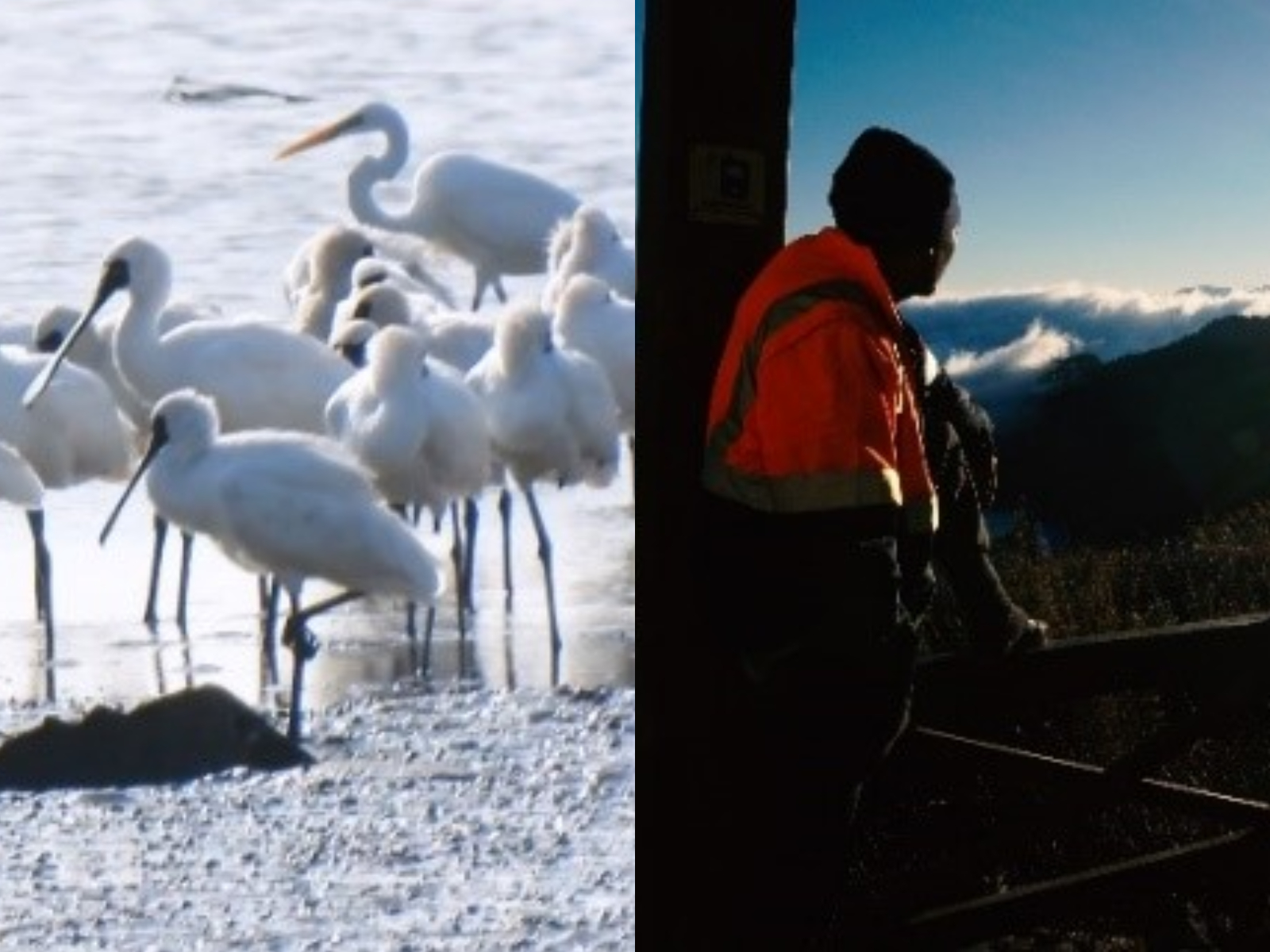 七股光電啟示錄、高山遊民【新北市國際紀錄片月】