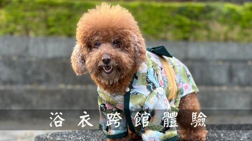 浴衣跨館體驗