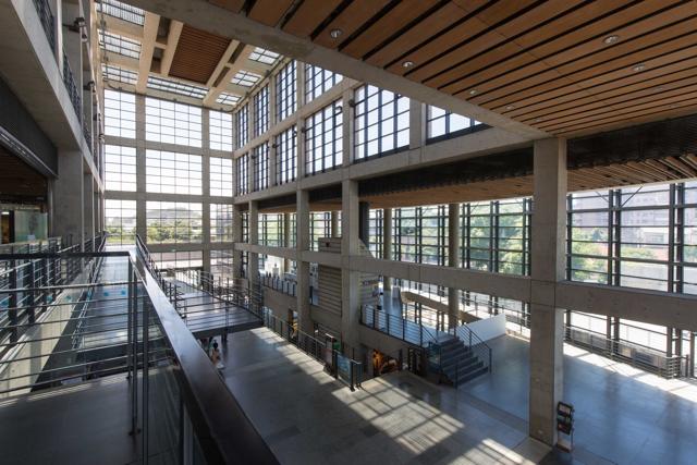 performing arts
